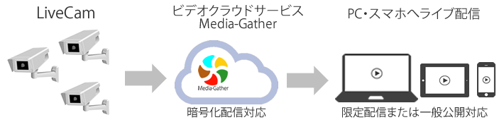 LiveCam（インターネットライブカメラ）とMedia-Gatherサービスの利用イメージ